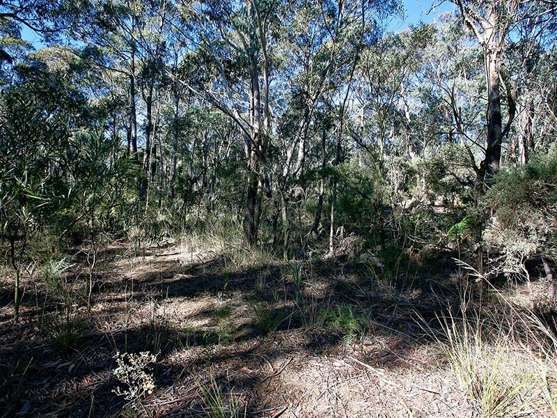 Lot 41 Valley View Road, Lithgow NSW 2790
