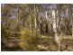 Lot 41 Valley View Road, Lithgow NSW 2790