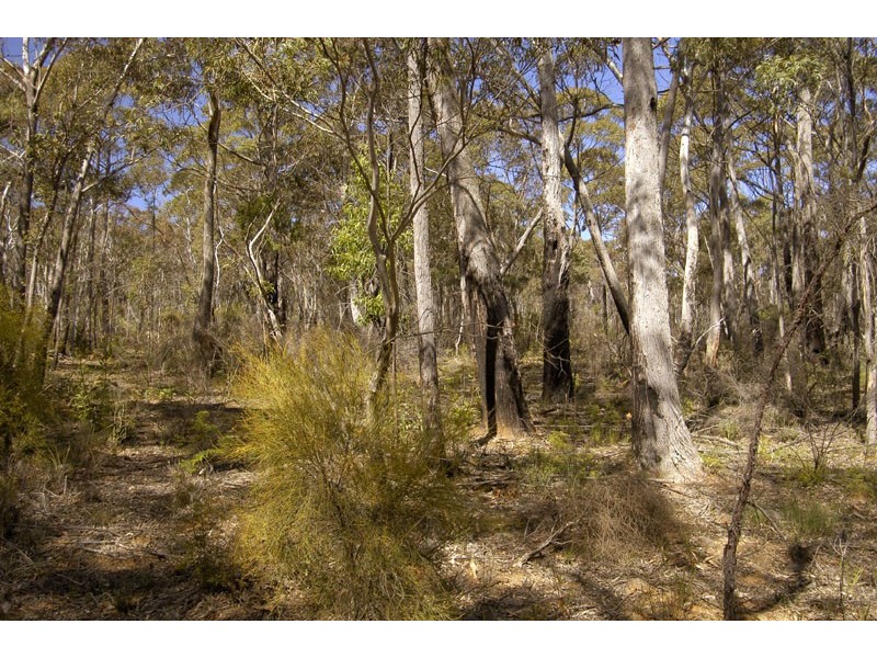 Lot 41 Valley View Road, Lithgow NSW 2790