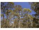 Lot 41 Valley View Road, Lithgow NSW 2790
