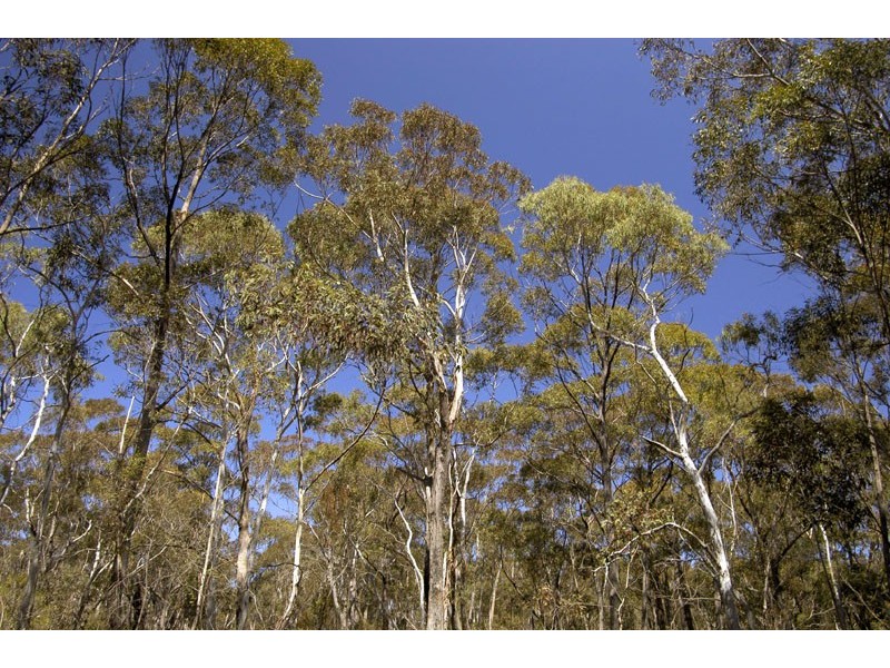 Lot 41 Valley View Road, Lithgow NSW 2790