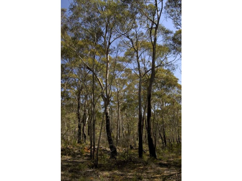 Lot 41 Valley View Road, Lithgow NSW 2790