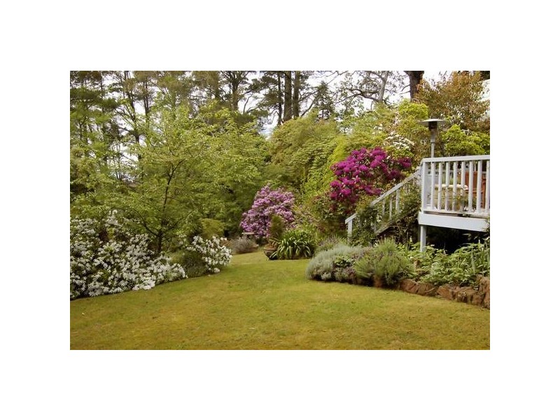 205 Hat Hill Road, Blackheath NSW 2785