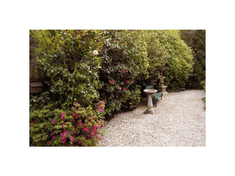 205 Hat Hill Road, Blackheath NSW 2785