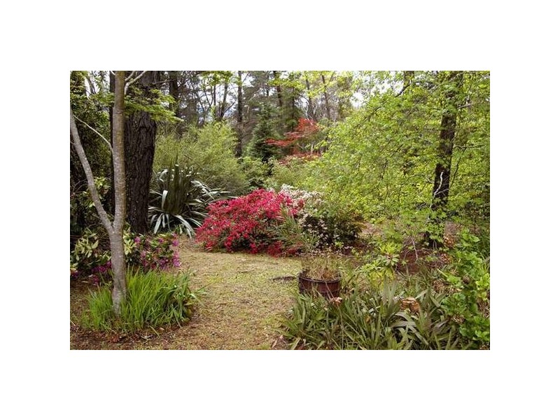 205 Hat Hill Road, Blackheath NSW 2785