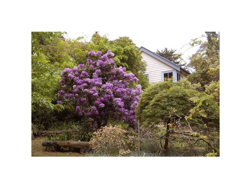 205 Hat Hill Road, Blackheath NSW 2785