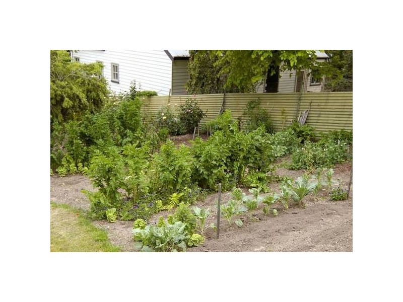 6 Lawrence Street, Blackheath NSW 2785