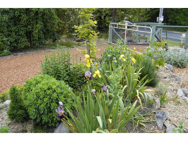 169 Hat Hill Road, Blackheath NSW 2785