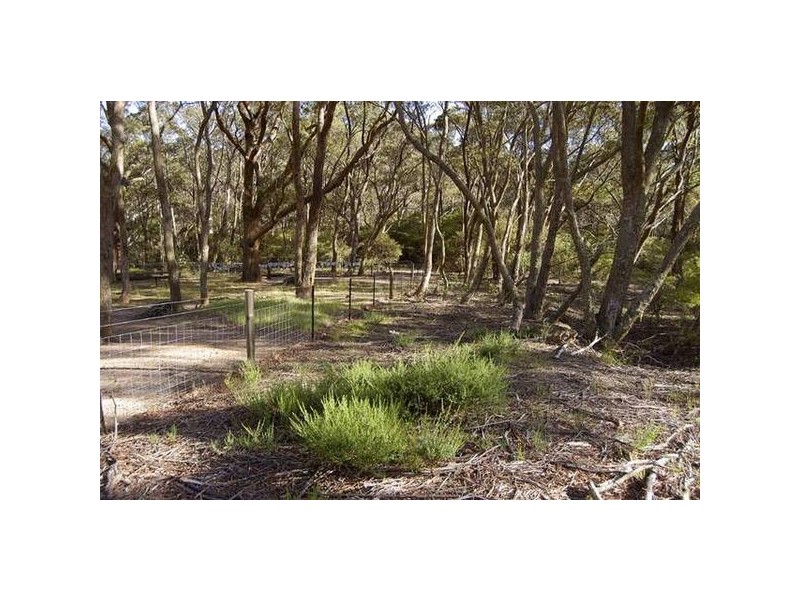 14-16 Russell Street, Katoomba NSW 2780