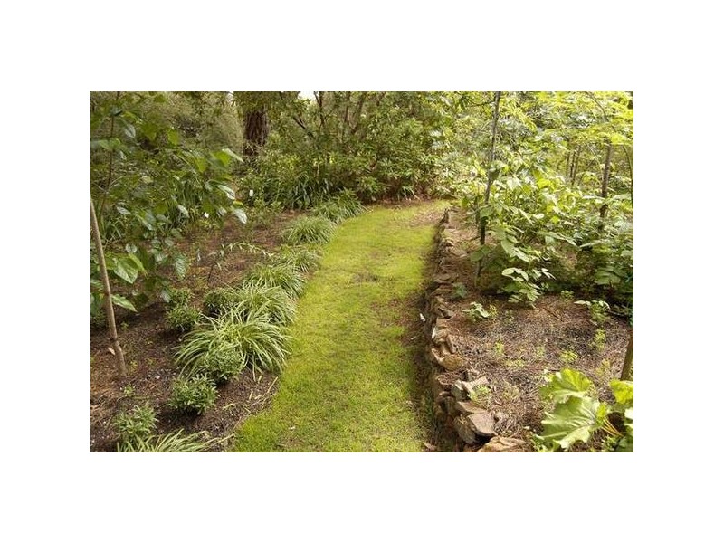 9-17 Inconstant Street, Blackheath NSW 2785