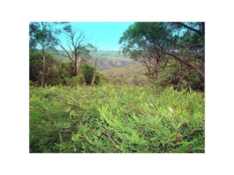 143 Craigend Street, Leura NSW 2780