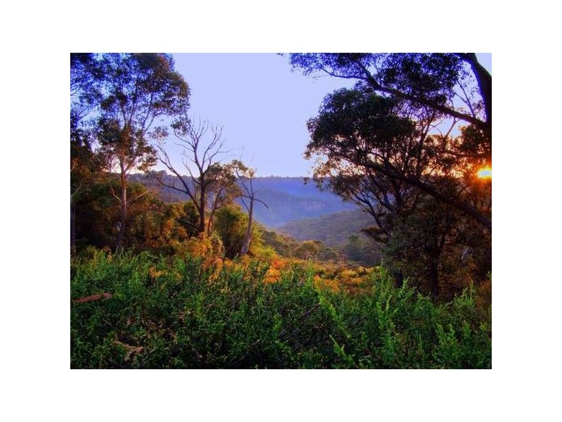 143 Craigend Street, Leura NSW 2780