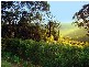 143 Craigend Street, Leura NSW 2780