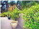 143 Craigend Street, Leura NSW 2780