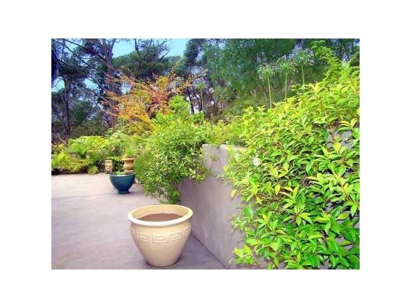 143 Craigend Street, Leura NSW 2780