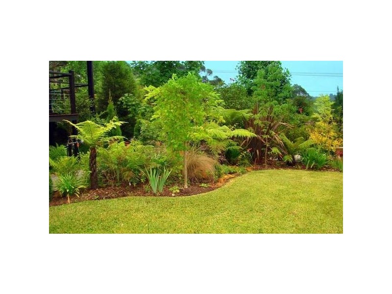 143 Craigend Street, Leura NSW 2780