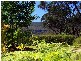 143 Craigend Street, Leura NSW 2780