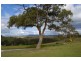 545 McKanes Falls Road, Lithgow NSW 2790