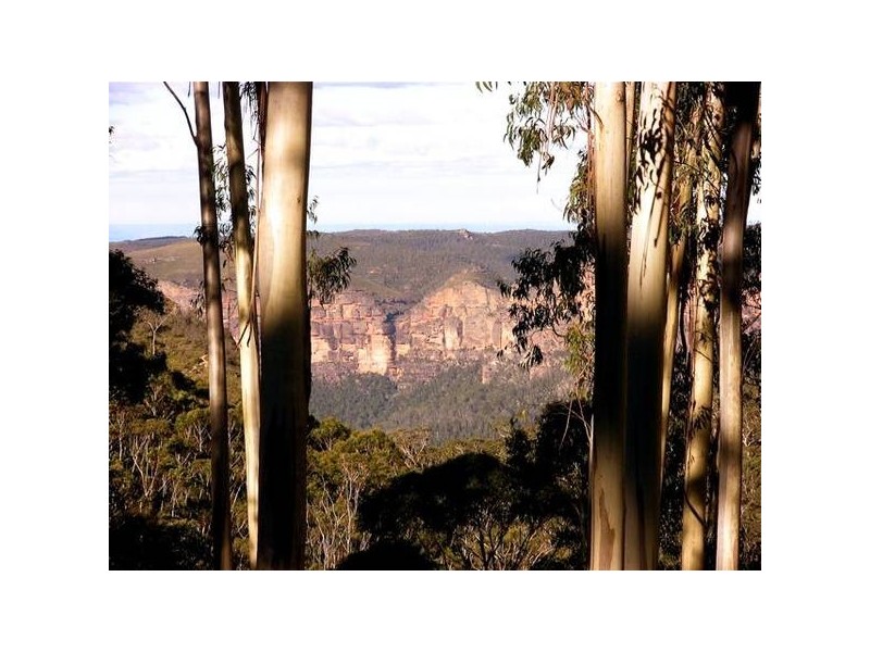 227 Hat Hill Road, Blackheath NSW 2785