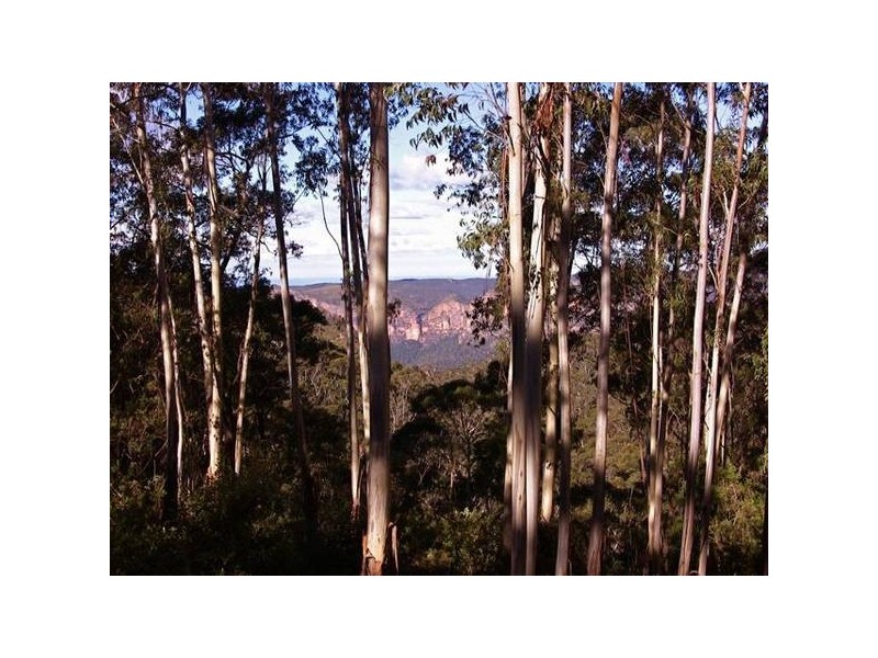 227 Hat Hill Road, Blackheath NSW 2785