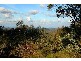 84a Tablelands Rd, Wentworth Falls NSW 2782