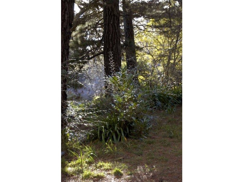 5 Richmond Road, Medlow Bath NSW 2780