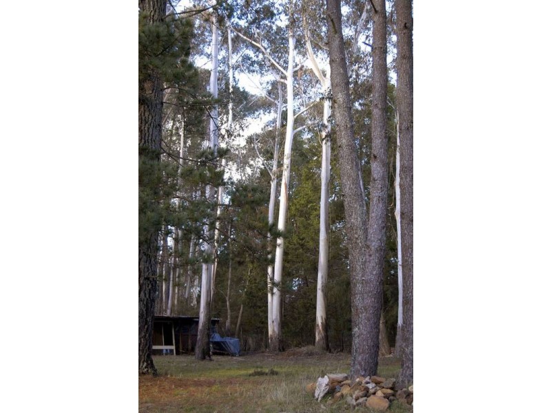 5 Richmond Road, Medlow Bath NSW 2780