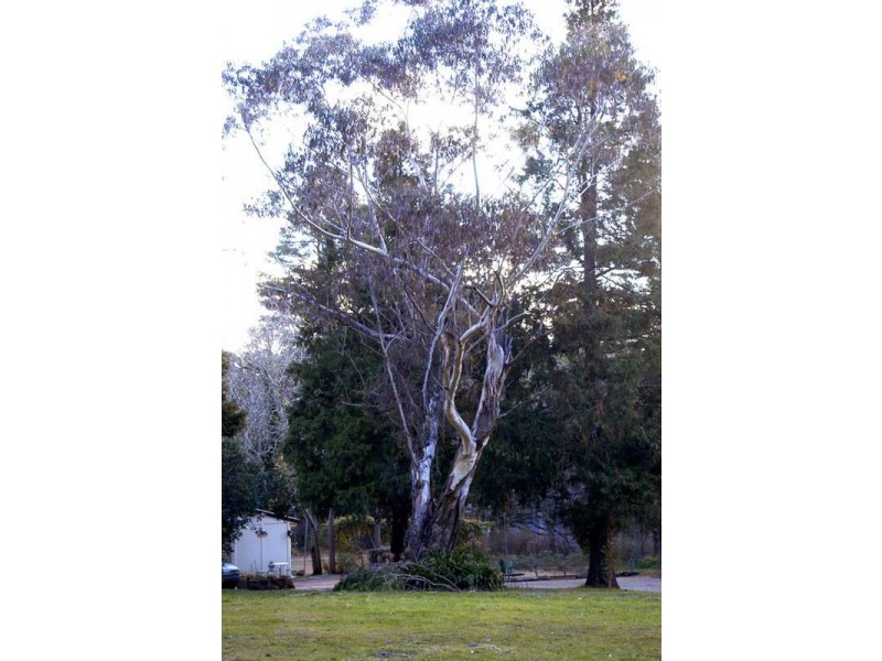 5 Richmond Road, Medlow Bath NSW 2780