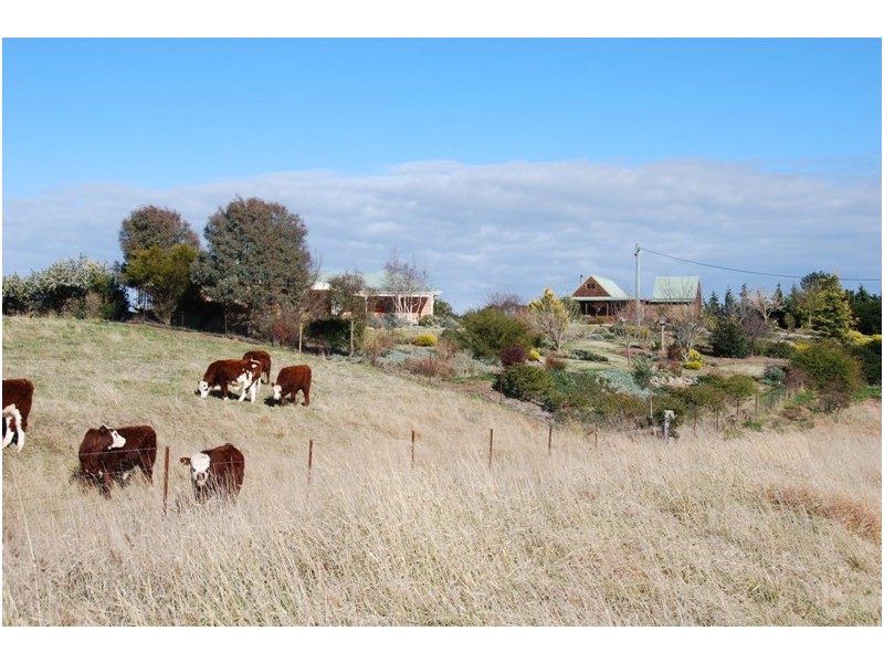 763 Coxs River Road, Little Hartley NSW 2790