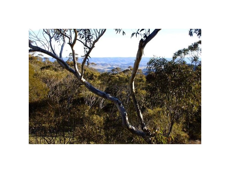 88 Victoria Street, Mount Victoria NSW 2786