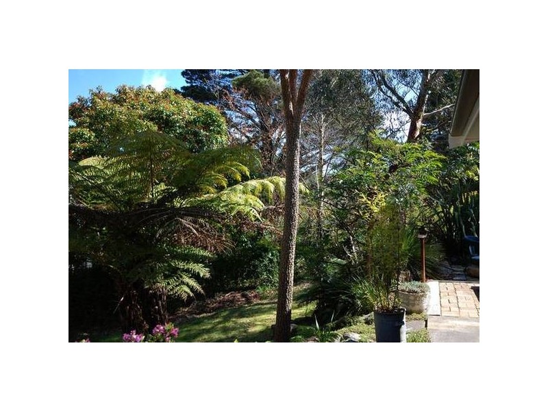 Lot 1 Wombat Street, Blackheath NSW 2785