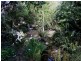 1 West Street, Wentworth Falls NSW 2782