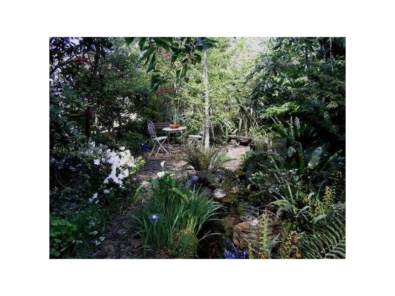 1 West Street, Wentworth Falls NSW 2782