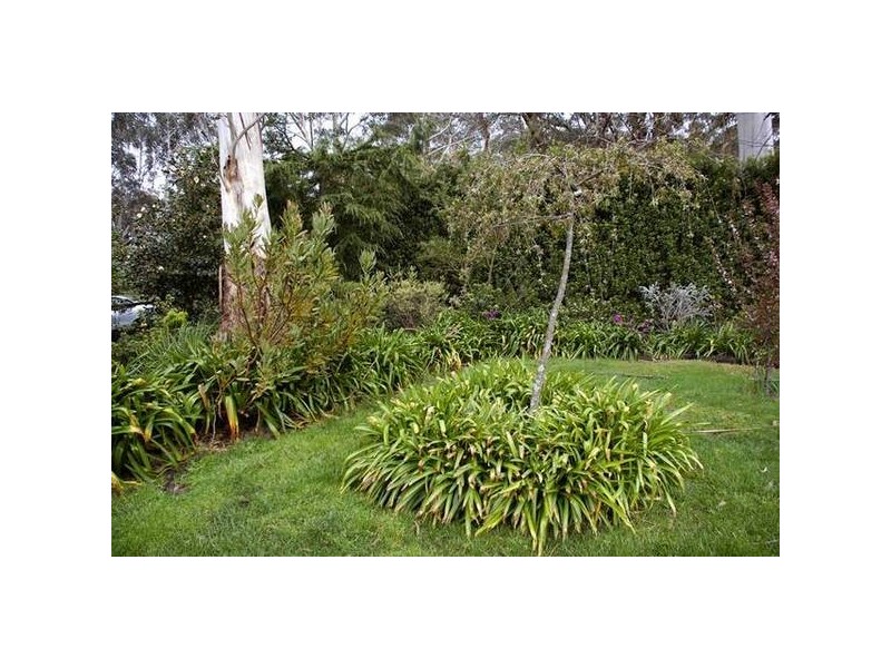 23 Blue Gum Avenue, Medlow Bath NSW 2780