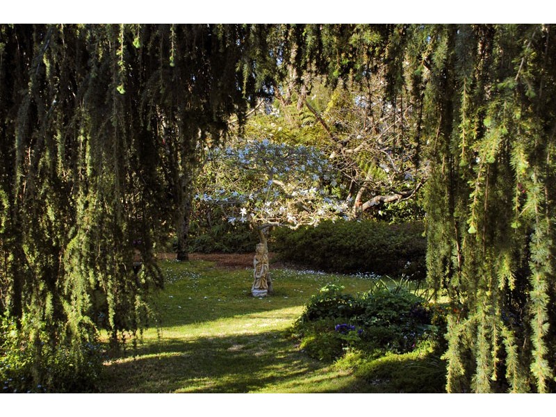 144 Craigend Street, Leura NSW 2780