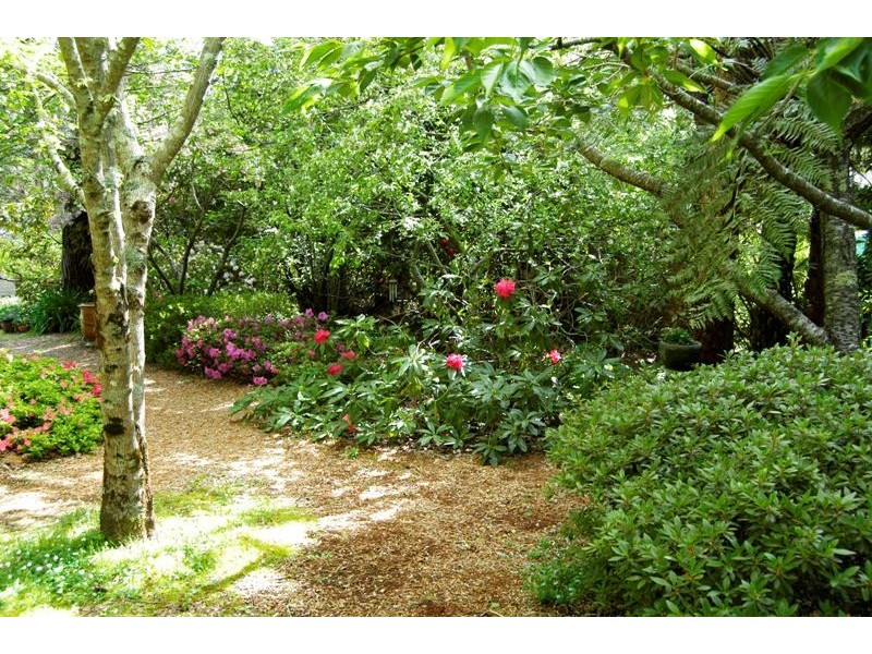 144 Craigend Street, Leura NSW 2780