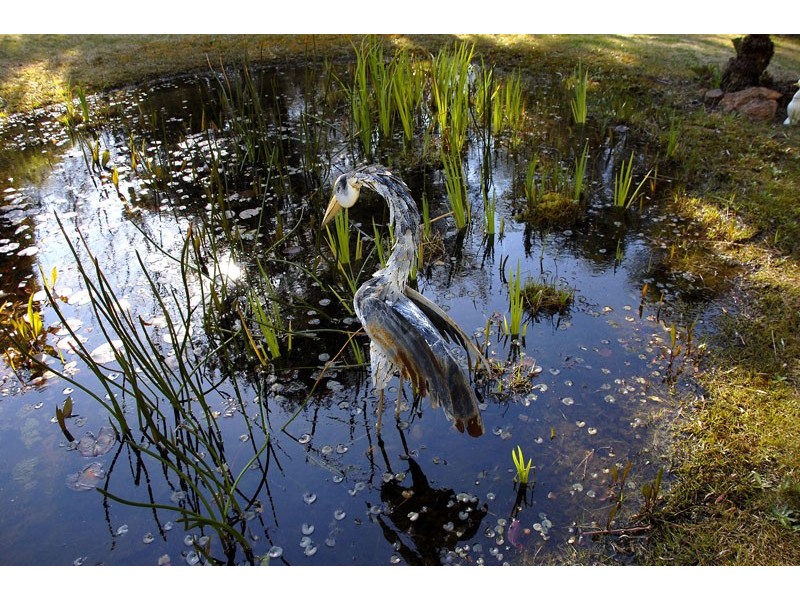 144 Craigend Street, Leura NSW 2780