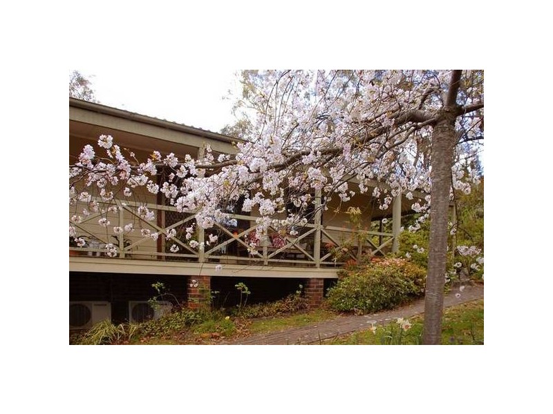 3 Wigram Road, Wentworth Falls NSW 2782