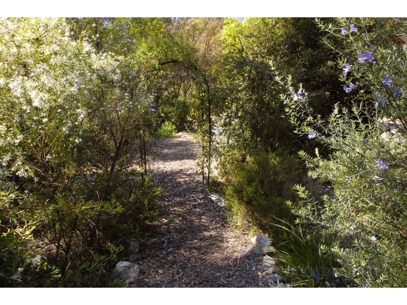 10 Pippin Place, Little Hartley NSW 2790