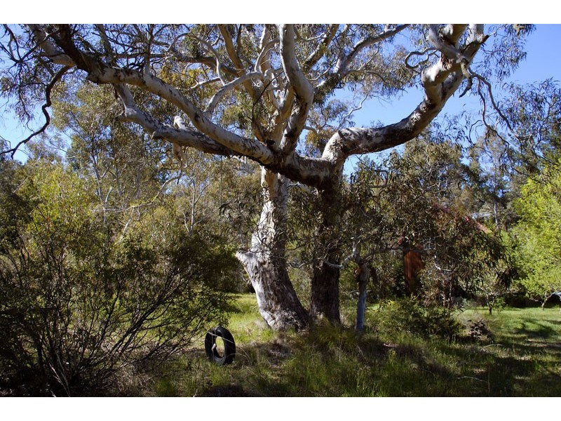 29 Mount Blackheath Road, Blackheath NSW 2785