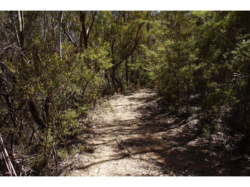 29 Mount Blackheath Road, Blackheath NSW 2785