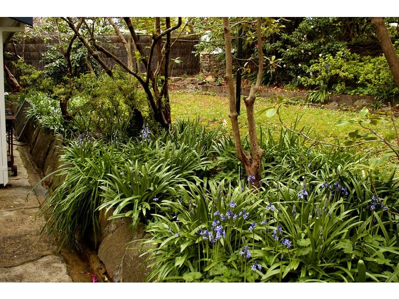 29 St Andrews Avenue, Leura NSW 2780