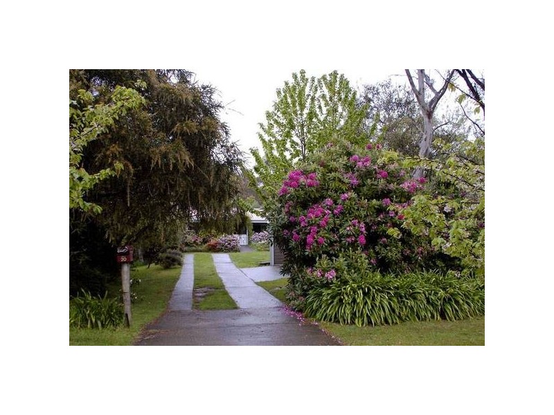 20 Hill Street, Wentworth Falls NSW 2782