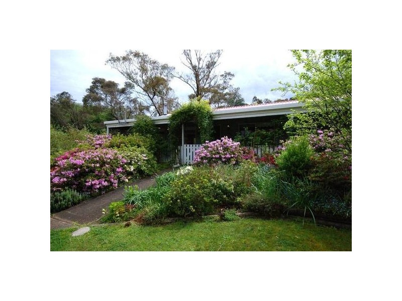 20 Hill Street, Wentworth Falls NSW 2782