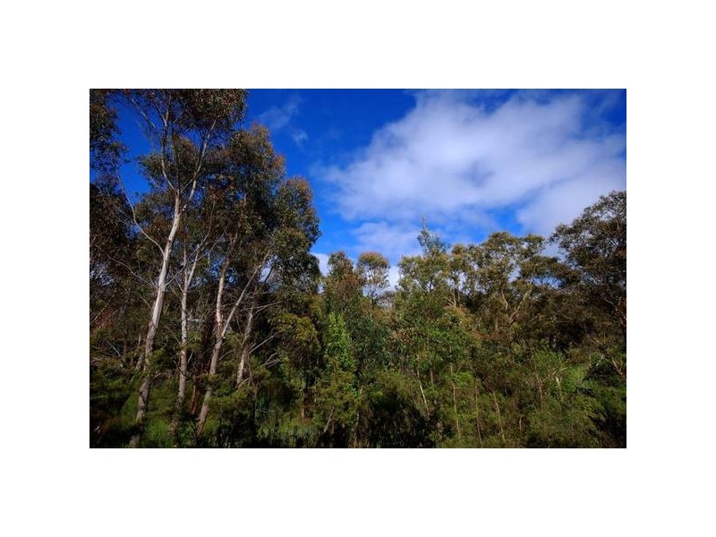 6 Eunoe Street, Katoomba NSW 2780