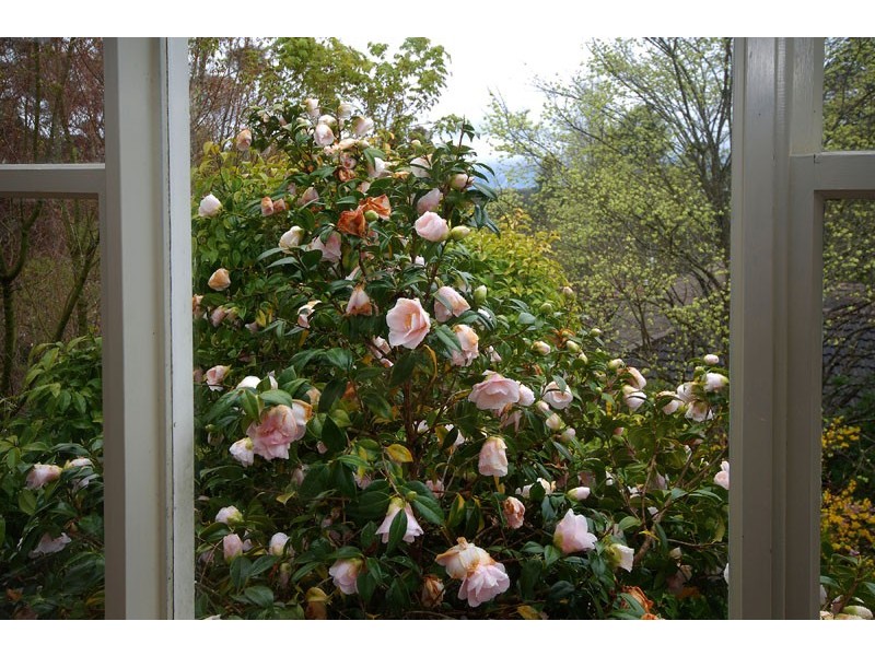 10 Park Street, Blackheath NSW 2785