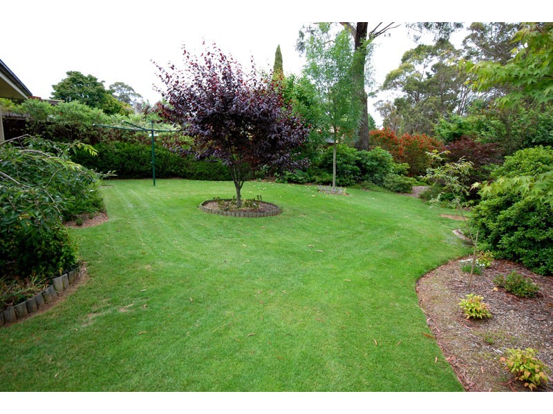 128 Hat Hill Road, Blackheath NSW 2785