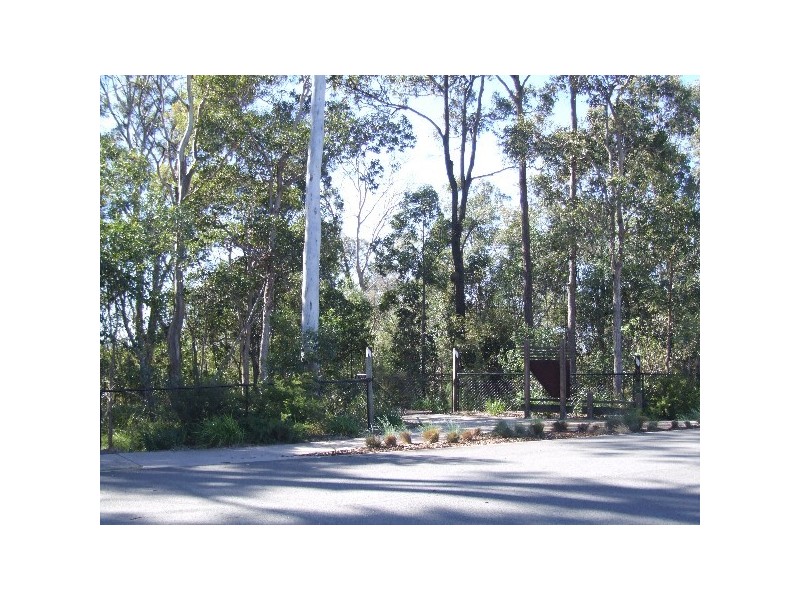 27 Charlton Street, Ormeau QLD 4208