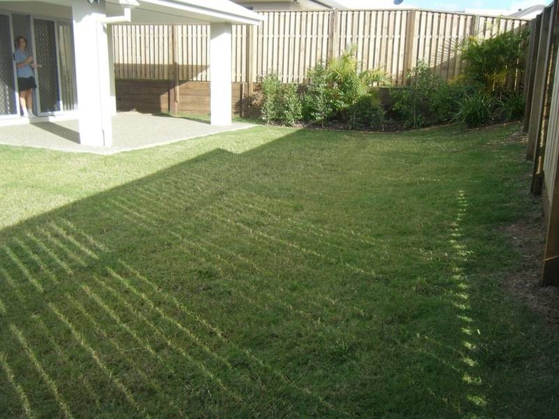 7 Milicent St, Ormeau QLD 4208