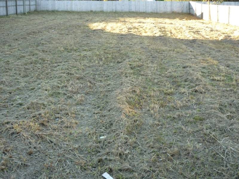 8 McGrath Ct, Ormeau QLD 4208